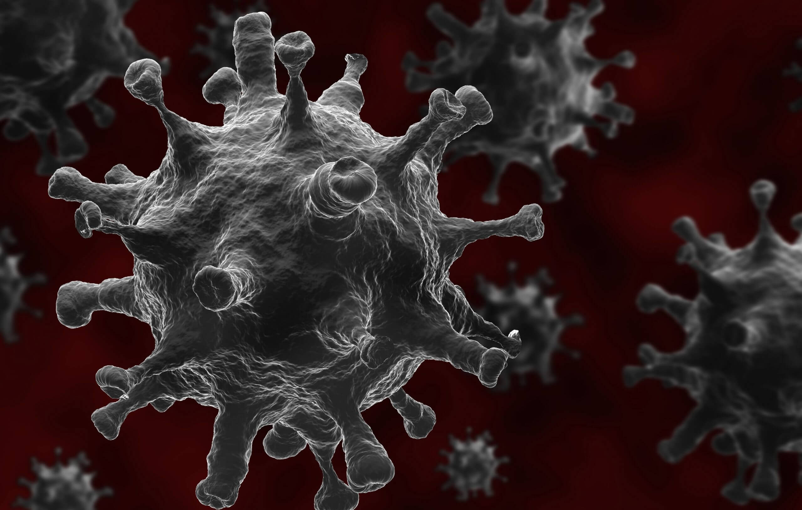 Featured image for “What is Coronavirus And How Do I Protect My Family”