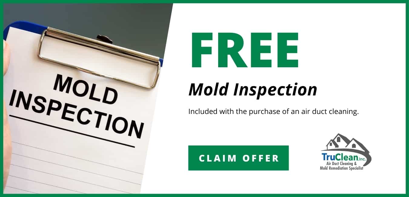 Free Mold Inspection Coupon TruClean Memphis