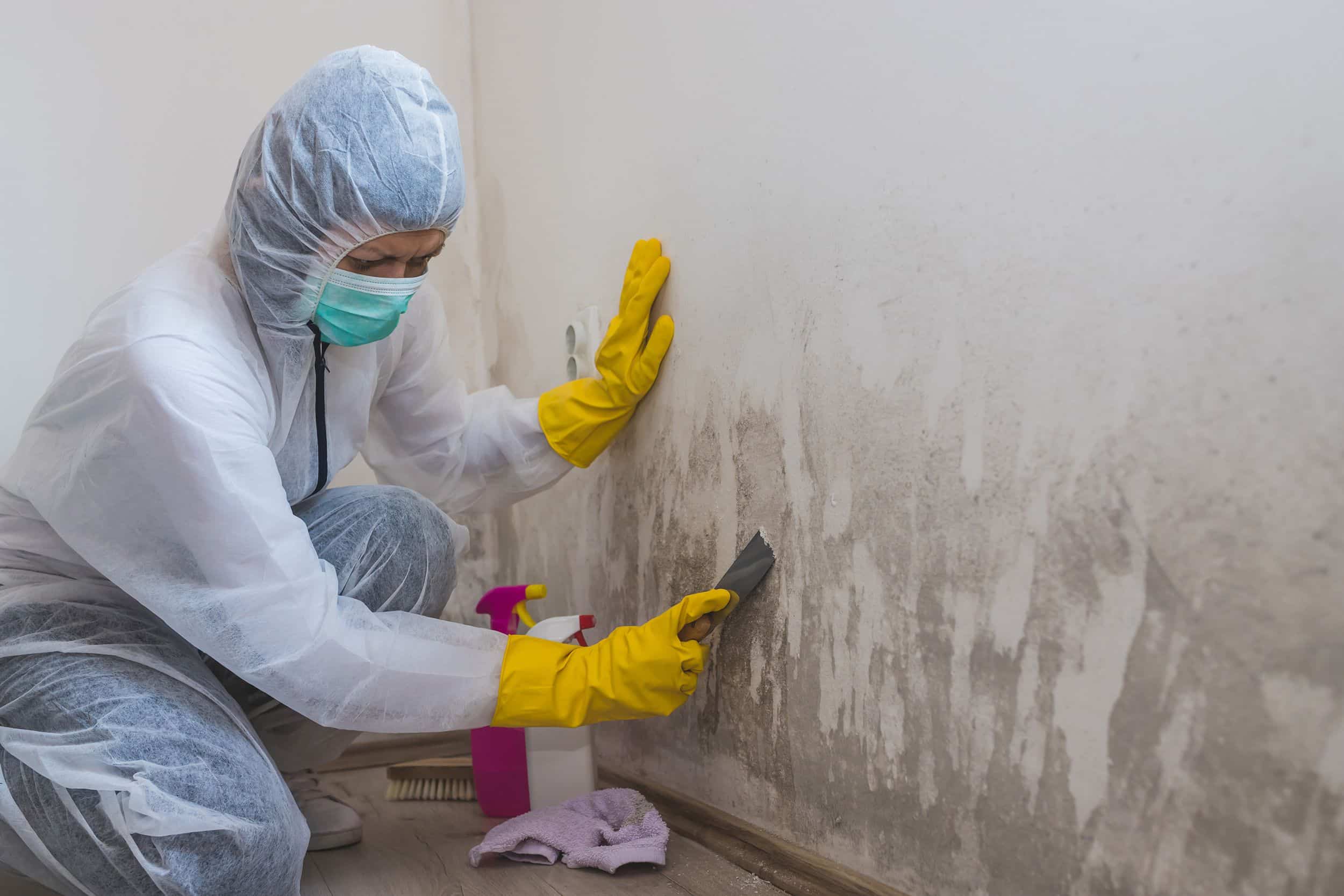 Testing Air Quality After Mold Remediation